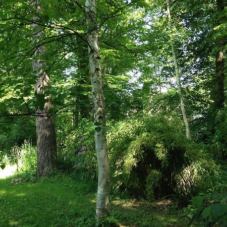 Domaine De Chantemerles Fontainebleau Eksteriør billede
