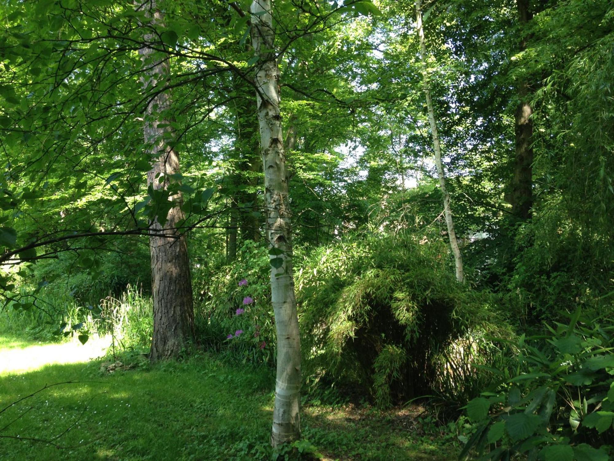 Domaine De Chantemerles Fontainebleau Eksteriør billede
